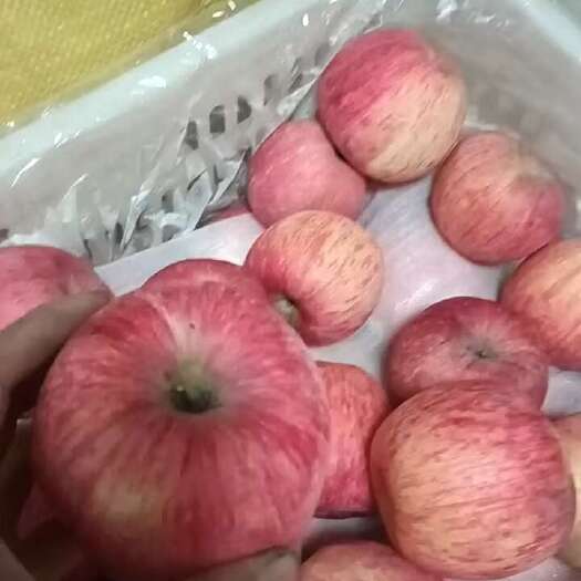 宜川县高次红富士苹果，脆甜口感。