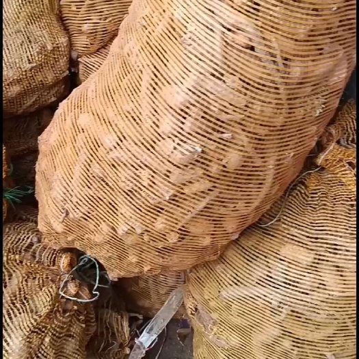 白玉山药苗下脚料