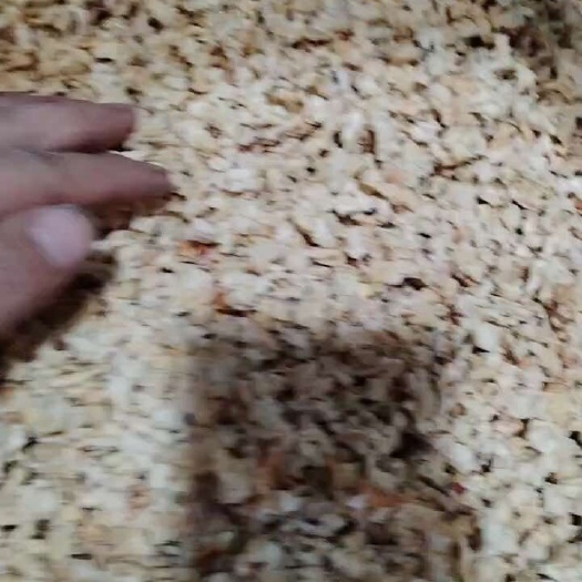 梨丁，，精品梨丁，雪梨丁
