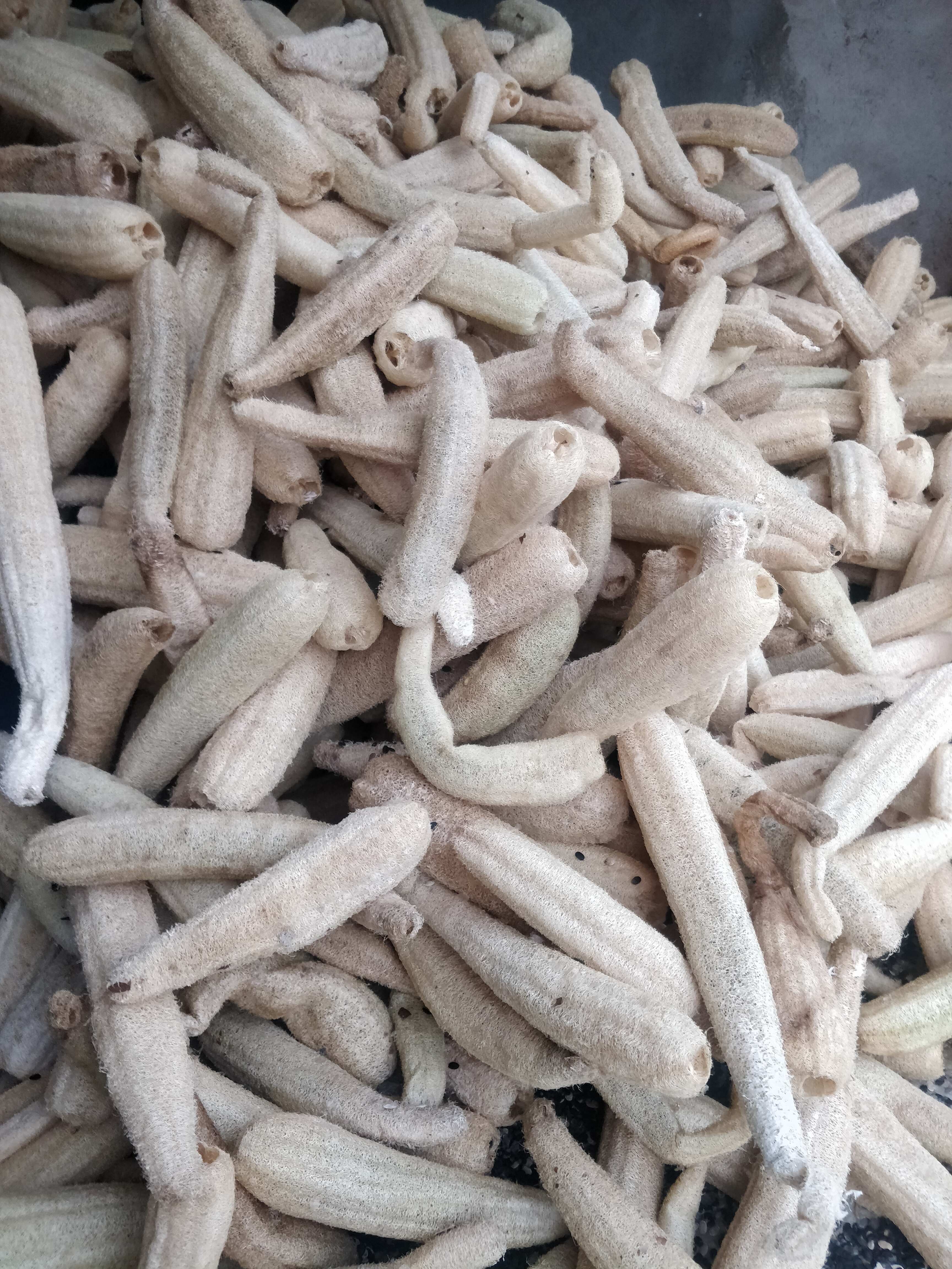 蘄春土特產(chǎn)