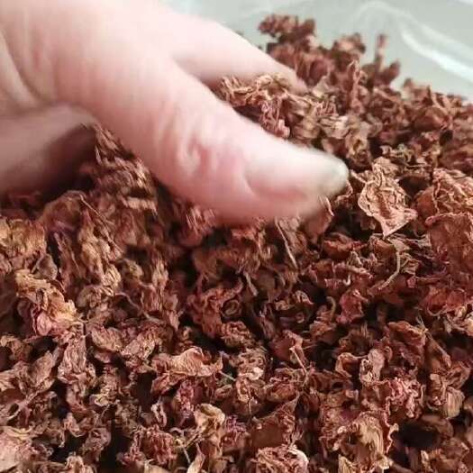 南召县凤仙花又称女人花一斤起批煮水喝通经染发染指甲女人的最爱