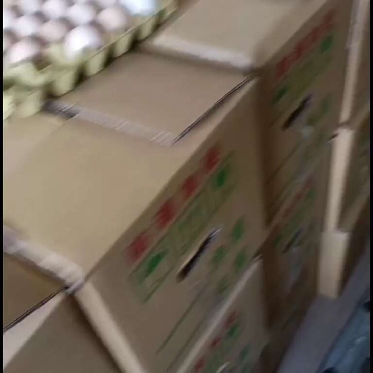 馆陶县粉壳蛋