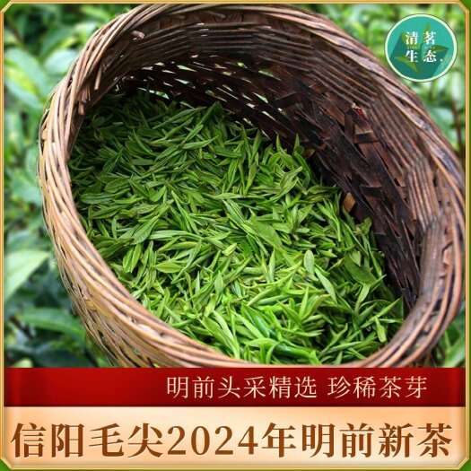 毛尖茶信阳毛尖茶叶2024年明前开园新茶炒青绿茶散装茶场直销