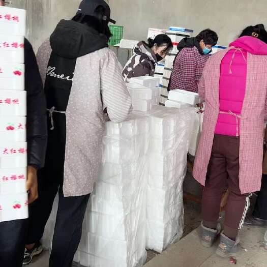 平度市山东美早大樱桃，支持一件代发，商超供货，电商果