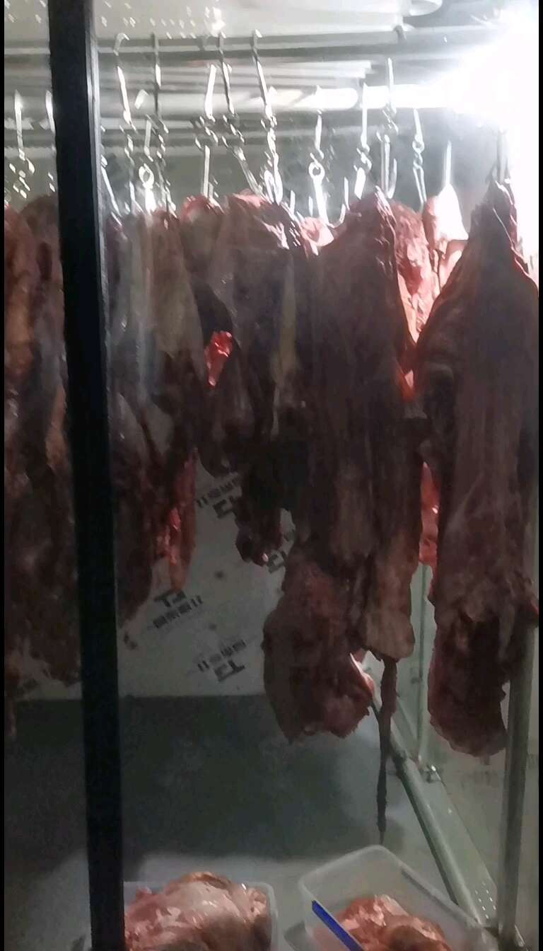 批发鲜牛肉，加工用牛肉