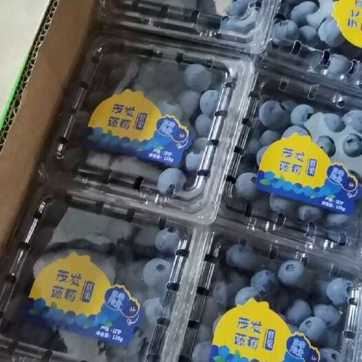 绥中县H5蓝莓1.8起