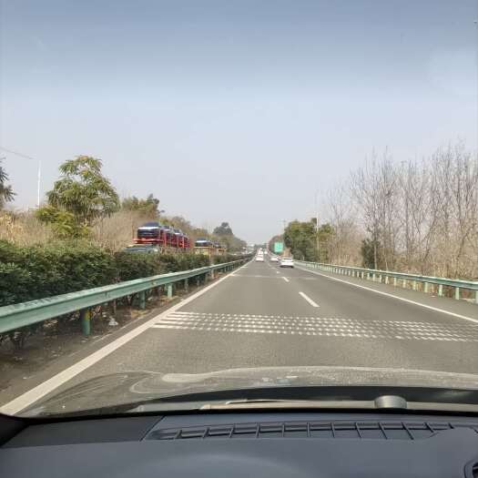 成都蔓荆子