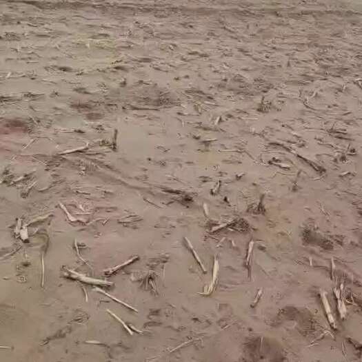 阿旗水浇地