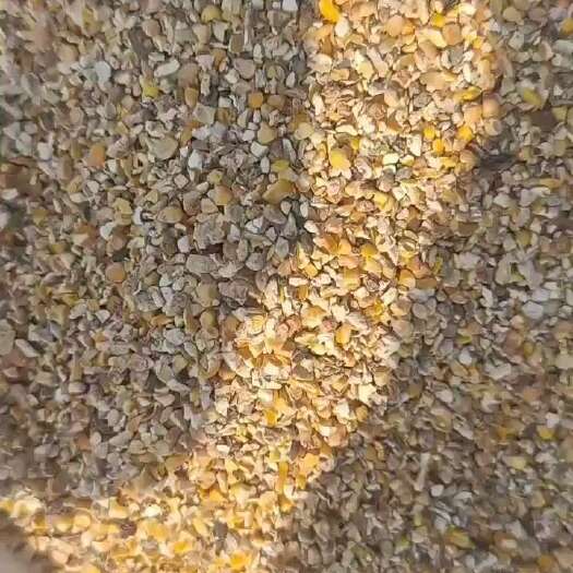 东明县玉米饲料 养殖玉米糁大量出售有需要的老板可电话联系