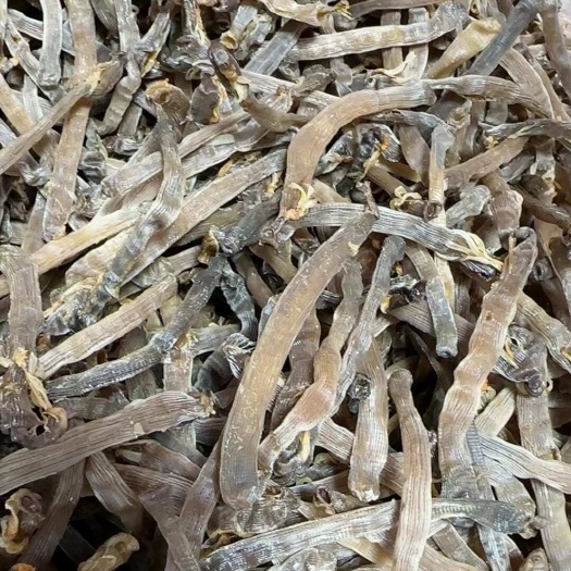 钦州沙虫干