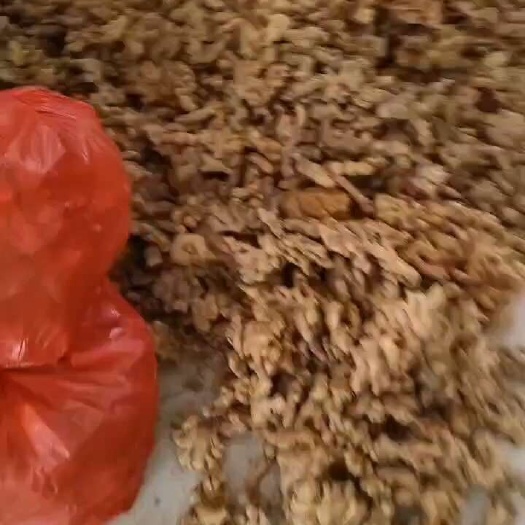 屏边县云南小黄姜