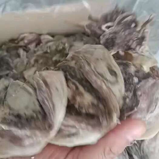 墨魚干！鹽干墨魚！一斤30頭左右！