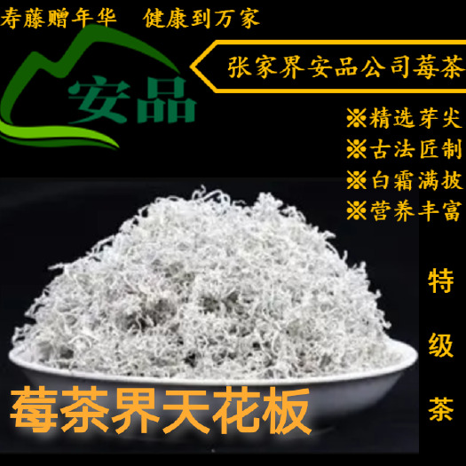 张家界【莓茶界天花板】张家界永顺高山基地明前芽头春茶