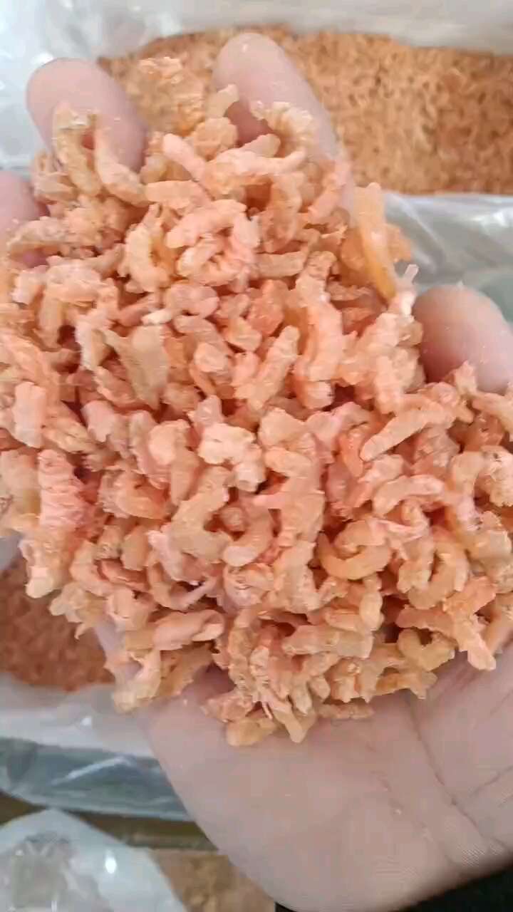 海米！盐干海米！电商实体可用！质量好！中颗粒！