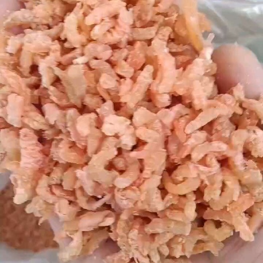 日照海米！盐干海米！电商实体可用！质量好！中颗粒！