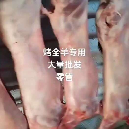 商河县烤全羊羊白条