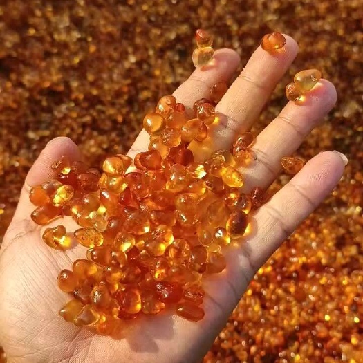 随县《爆款》机磨水洗黄红珍珠颗粒食用桃胶