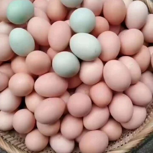 桂林土鸡蛋