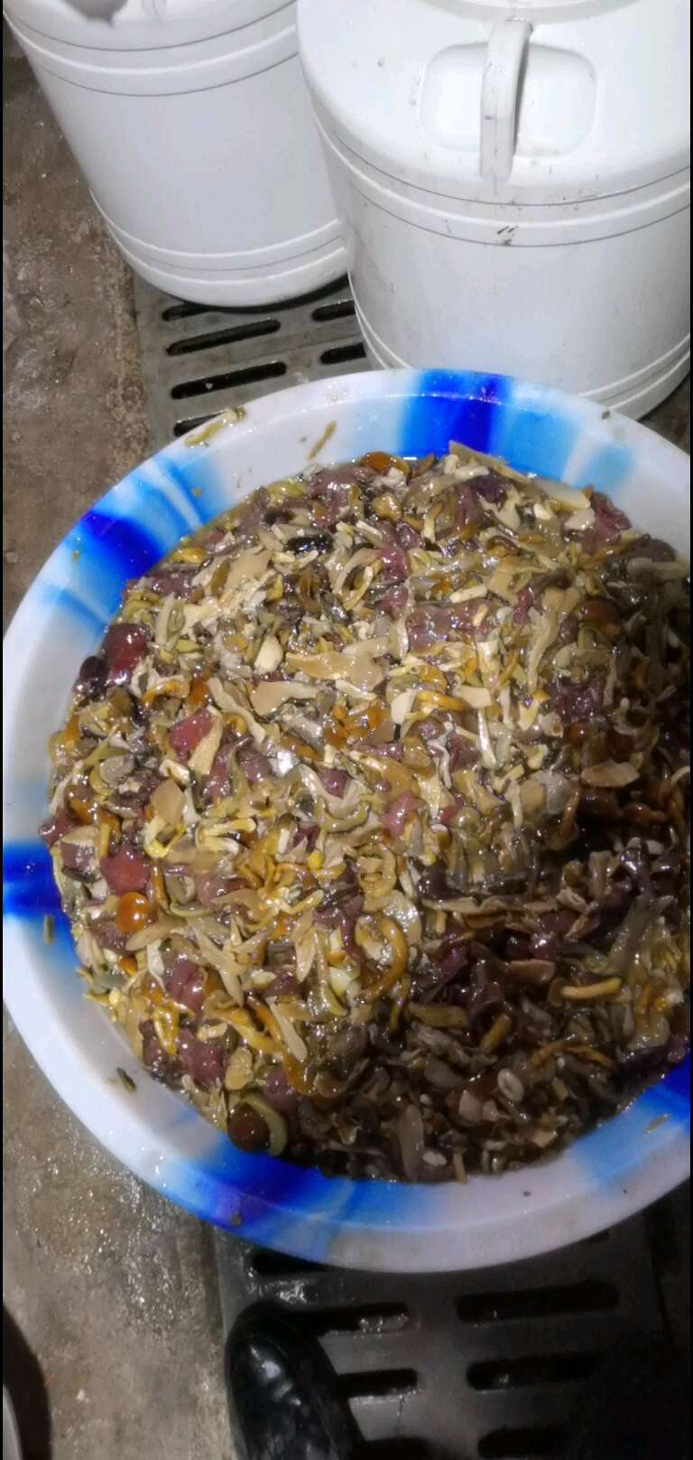 牛肝菌杂菌，餐饮配送批发市场，山珍菌汤火锅食材专用_