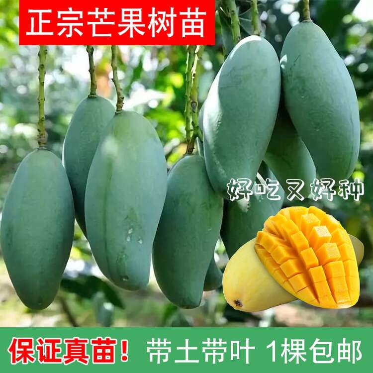 廣西蕓森農(nóng)業(yè)有限公司