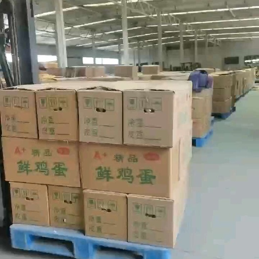 辛集市鸡蛋