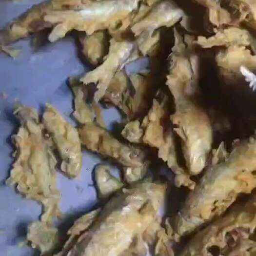 滑县炸小白条