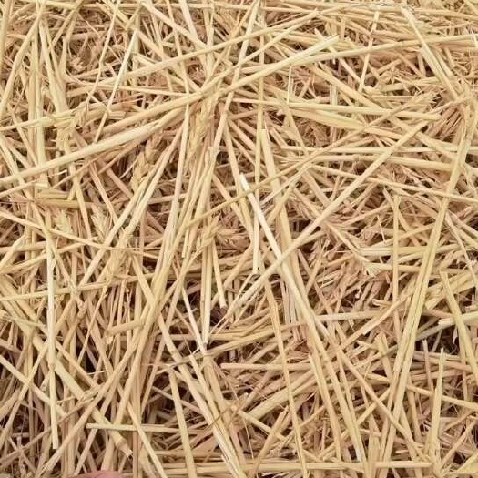 砚山县小麦秸秆，物美价廉