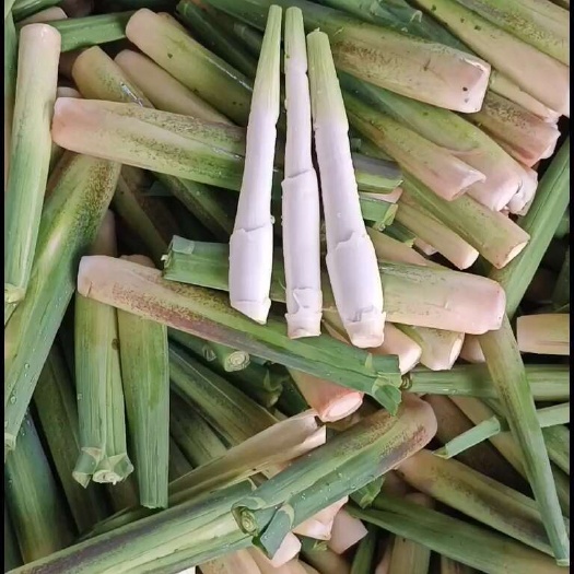 茭白