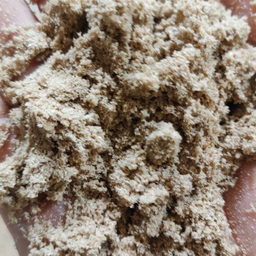 涡阳县发酵饲料
