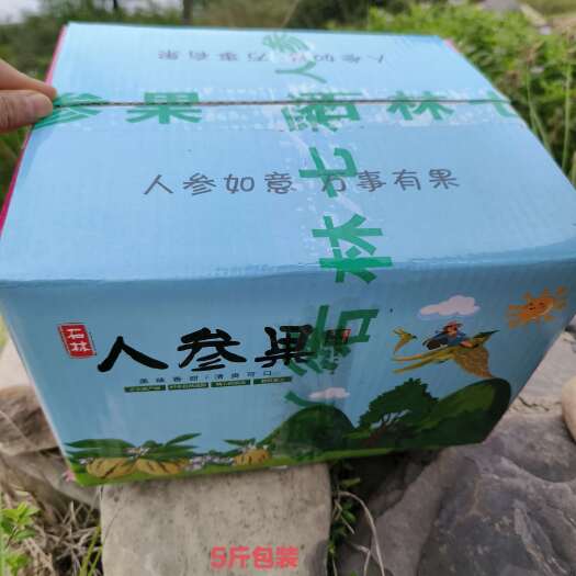 石林县云南石林树上熟人参果香甜多汁