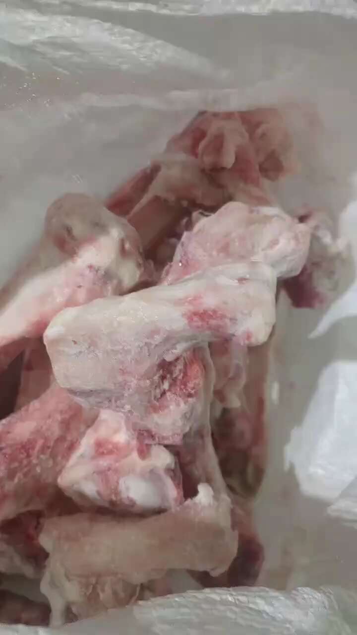 前后肘骨光骨