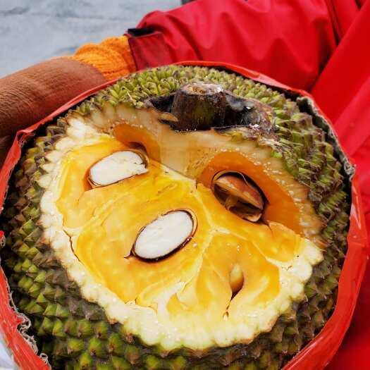中牟县越南产地直发红肉菠萝蜜泰八新鲜水果一件代发包邮