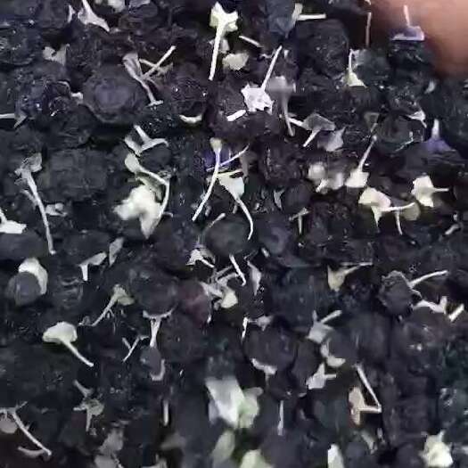 黑枸杞500g包郵
