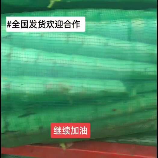 简阳市三青莴笋