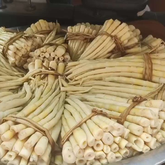通江县木竹笋