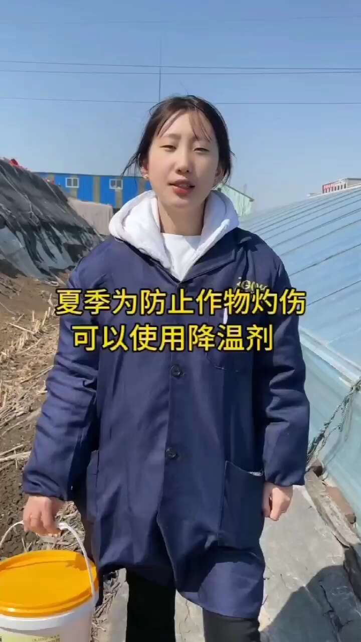 蔬菜大棚温室降温剂立凉大棚降温剂拱棚遮阳防晒涂料耐雨水冲刷