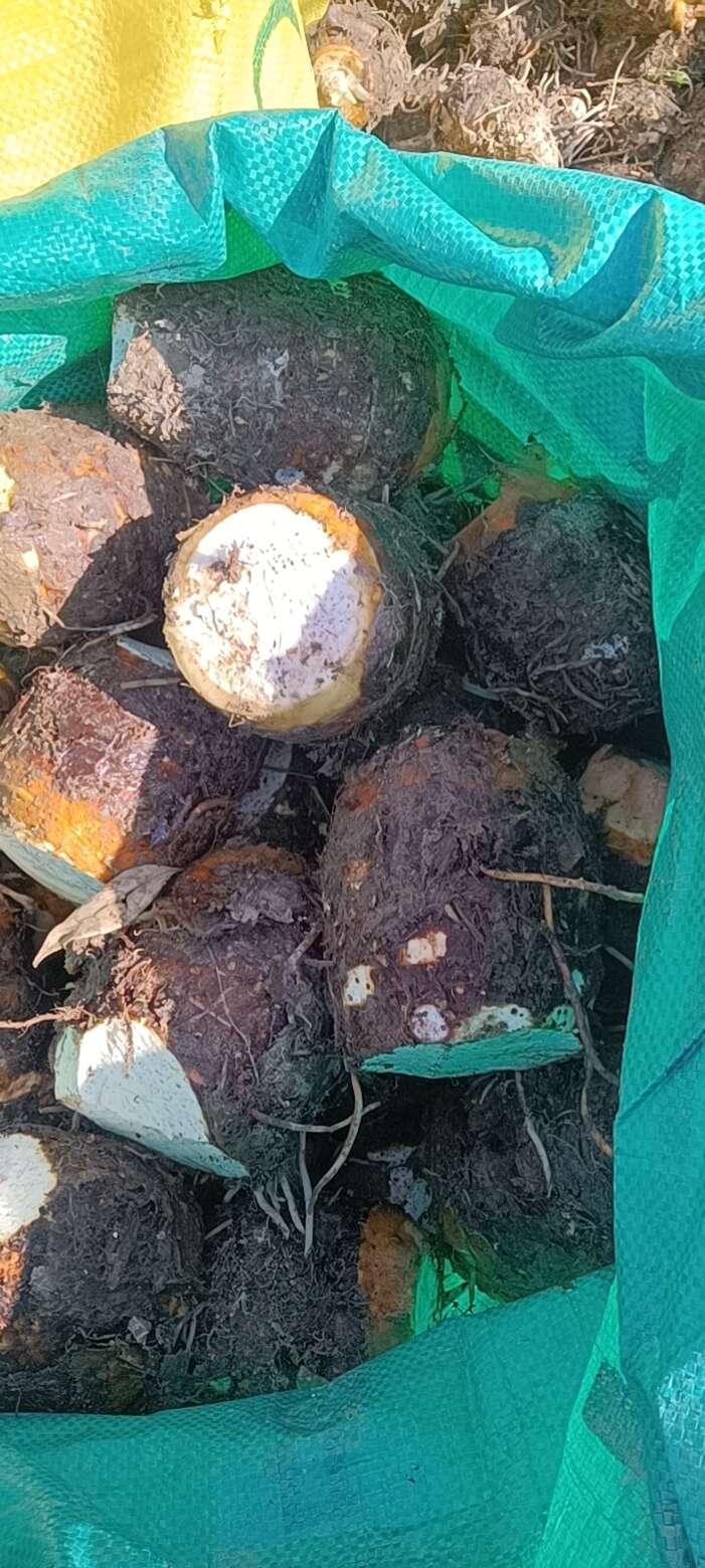 蔣姐生鮮