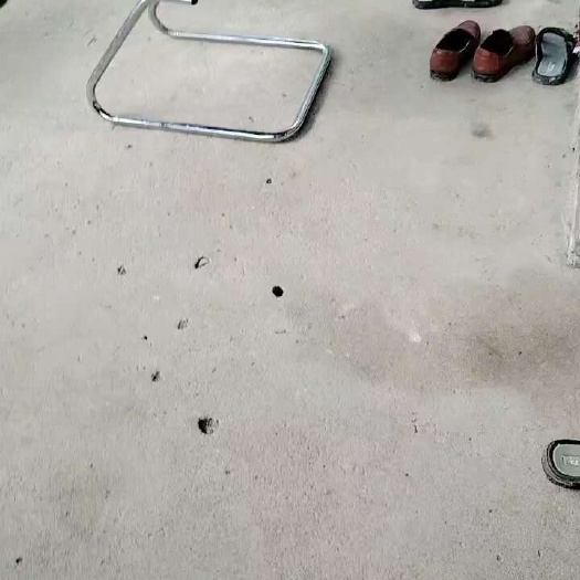 漳浦县澳洲龙虾苗