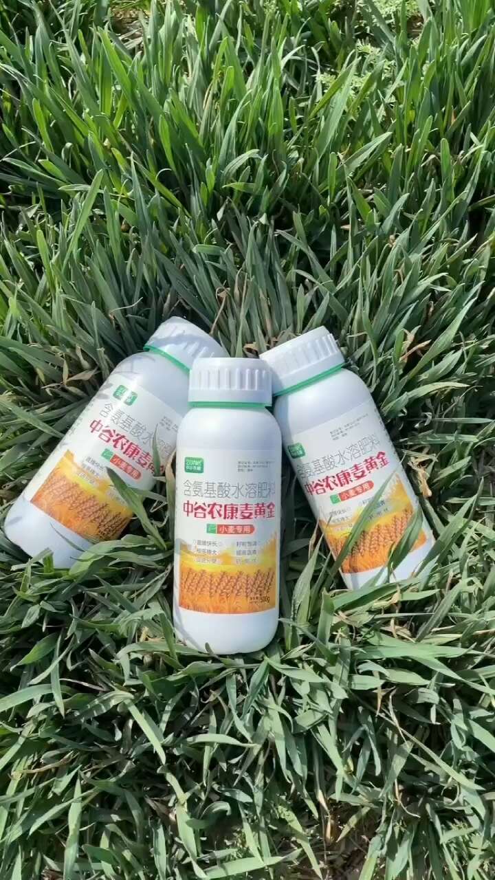 麦黄金 小麦增产专用叶面肥 分蘖抗倒伏缩节灌浆肥增产水溶肥料
