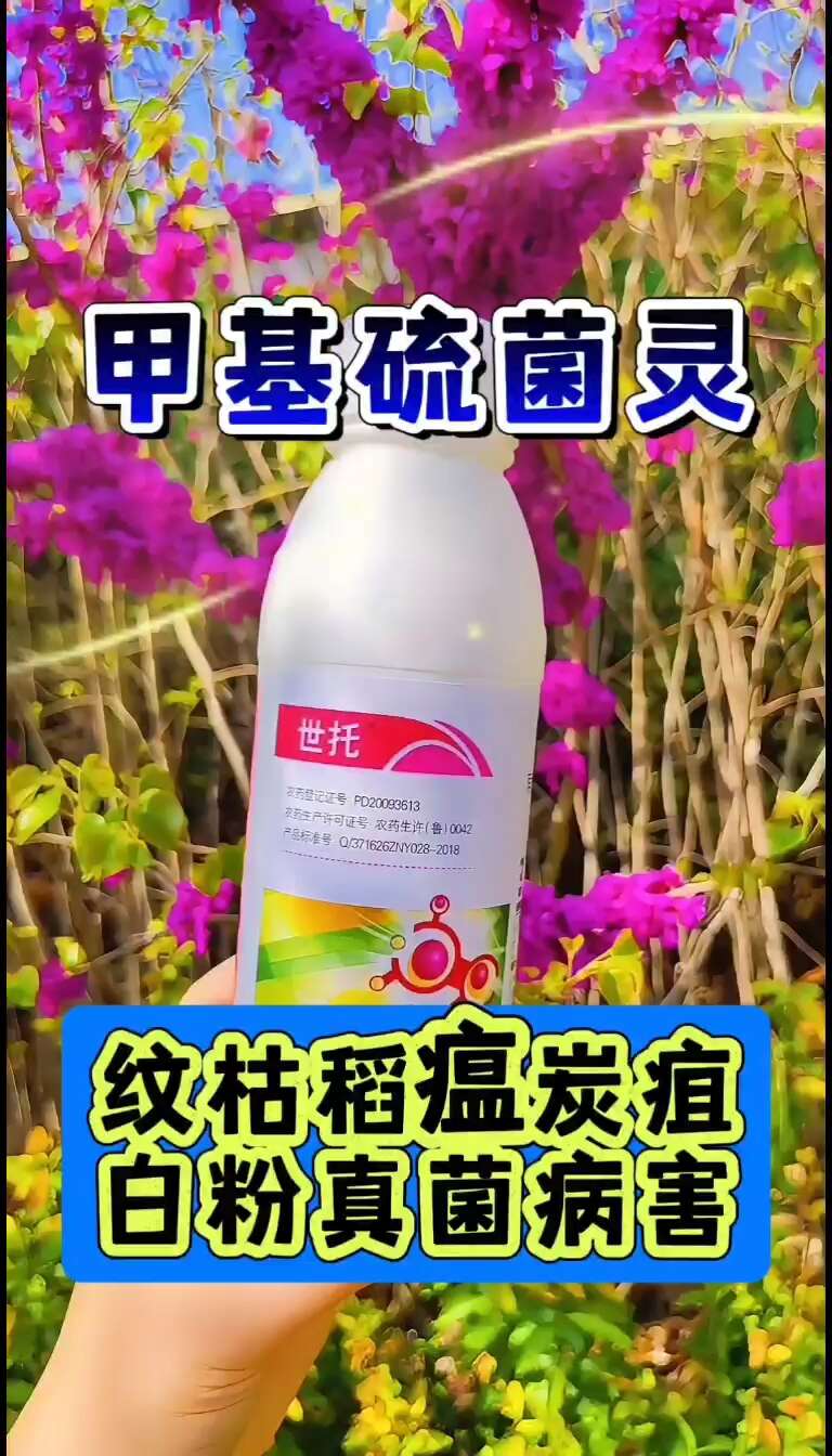 甲基硫菌灵杀菌剂500克纹枯病稻瘟病真菌病害内吸防治广谱