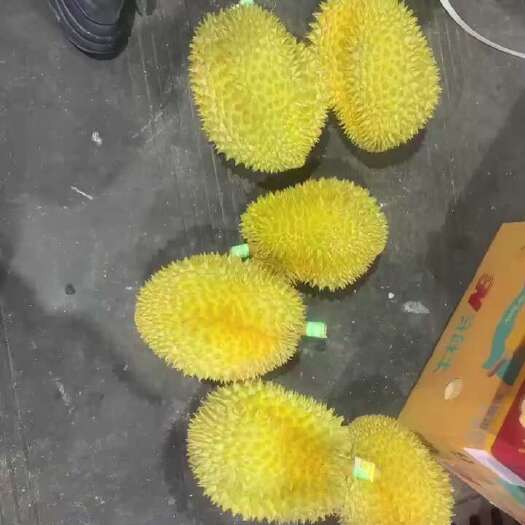 彭州市泰国甲仑价格便宜。