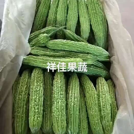 寿光市寿光苦瓜大量上市，量大价优。
