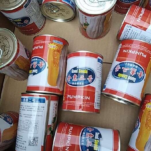 宜城市金惠二号密本南瓜种子，大量供应品种齐全，物美价廉