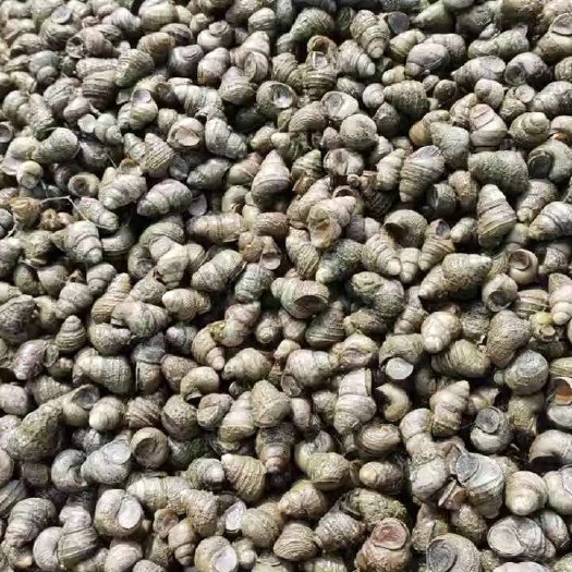 看上的老板联系