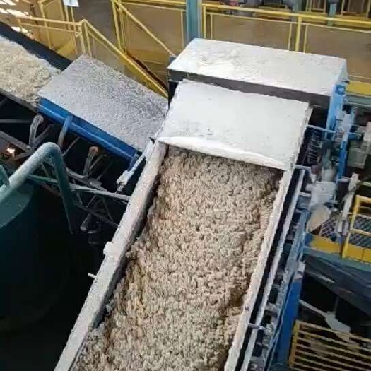  巴西45白糖期货5万吨起