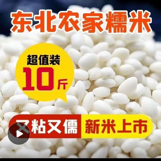 东北新鲜圆糯米新米包粽子江米饭团糯米糍粽子米专用粘大米