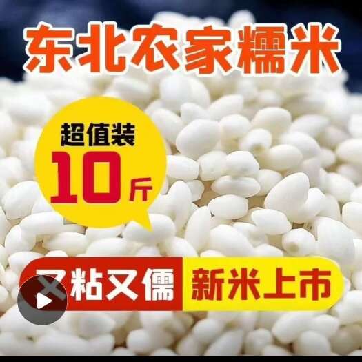 齐齐哈尔东北新鲜圆糯米新米包粽子江米饭团糯米糍粽子米专用粘大米