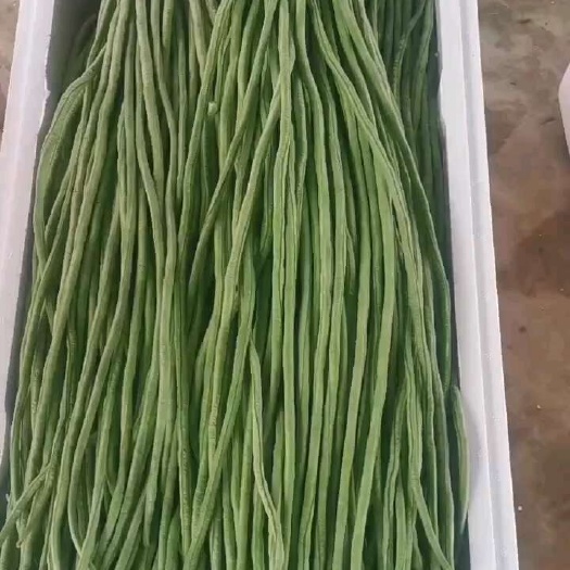 长豆角