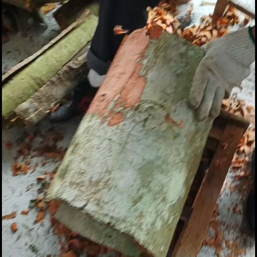 平南县广西优质肉桂 干货调味香料 批发零售