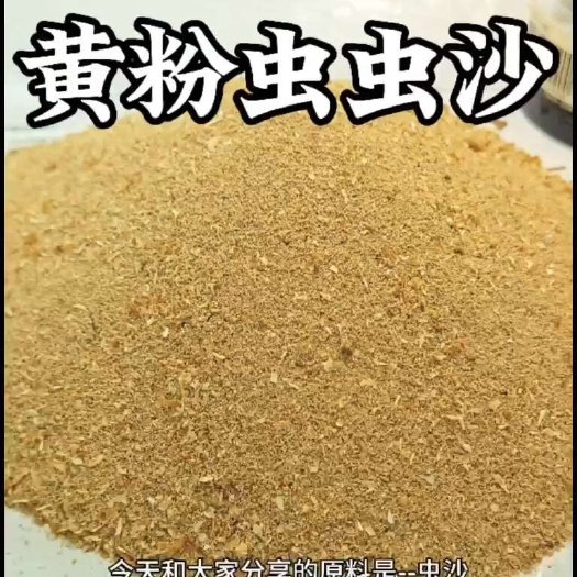 青岛黄粉虫虫沙